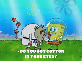 season 8 bubble troubles GIF by SpongeBob SquarePants