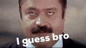 I Guess Bro GIF