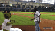 hou GIF by MLB
