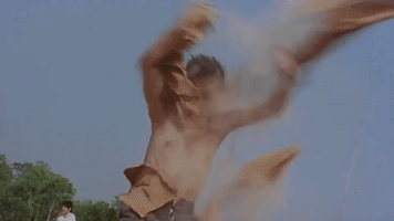 kung fu GIF