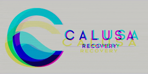 CalusaRecovery giphygifmaker recovery sober crs GIF