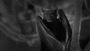 adam west running GIF