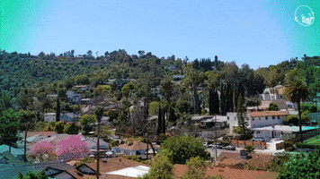 Beautiful Eagle Rock