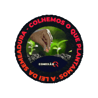 Guilherme Machado Sticker by Instituto QR