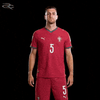 Cristiano Ronaldo Portugal GIF by Respective
