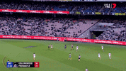2018 season football GIF by AFL