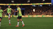 Emily Van Egmond Celebration GIF by Football Australia