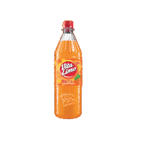 Sommer Limo Sticker by Vita Cola
