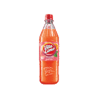 Sommer Limo Sticker by Vita Cola