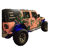 Traveling Cruelty Free Sticker by VS CBD