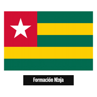 Flag Pixel Art Sticker by Formación Ninja