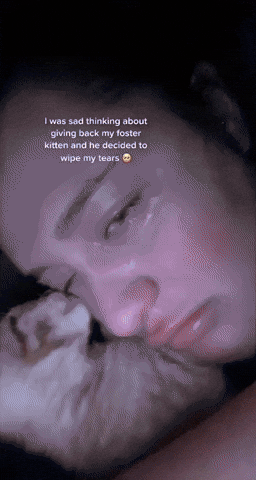 cuteanimalland giphyupload GIF