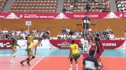 Fabulous GIF by Volleyball World