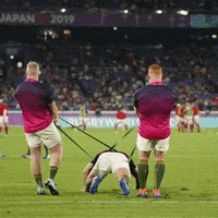 World Rugby Sport GIF by Rugby World Cup