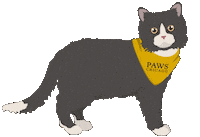 Cat Kitty Sticker by Merrick Pet Care