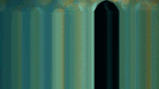 GIF by Canek