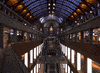 traveling time-lapse GIF by Kitsune Kowai