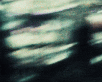 Wild Ones GIF by Jessie Murph