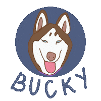 Dog Bucky Sticker