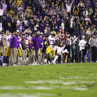 College Football GIF by LSU Tigers