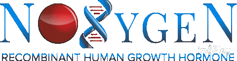 Noxygen Sticker by Pitalovo labs