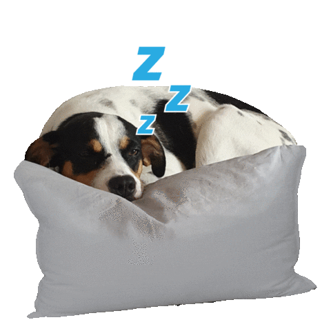 Sleepy Puppy Sticker by VNRO