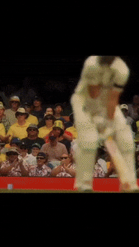 Mitchell Starc GIF