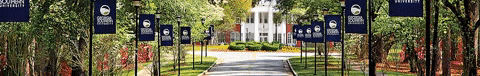 Georgia Southern Gold GIF by Georgia Southern University - Auxiliary Services