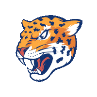 santateresa school honduras escuela jaguars Sticker