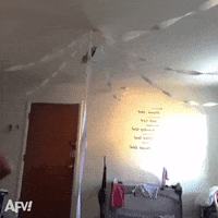 Clean Up Teamwork GIF by America's Funniest Home Videos