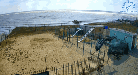 stepanovka 21 marta GIF