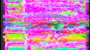 Los Angeles Television GIF by Gay Felony Productrans