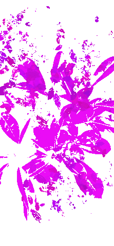transgreaser pink leaves transgreaser Sticker