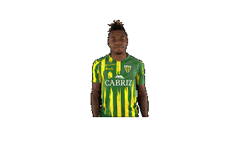 Liga Nos Sticker by CD Tondela