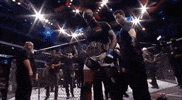 ufc 214 GIF