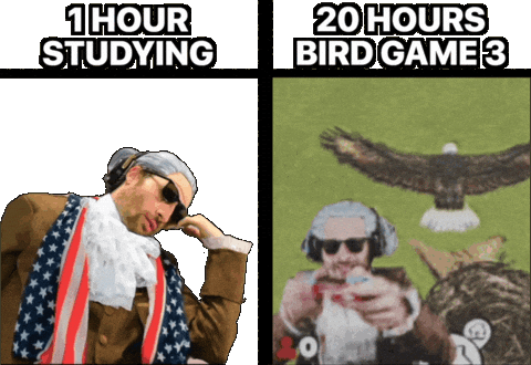 Not Studying Playing Video Games Sticker