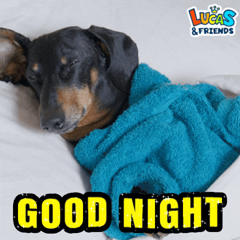 Good Night Dog GIF by Lucas and Friends by RV AppStudios