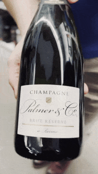 France Champagne GIF by Casol