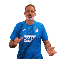 Sport Bundesliga Sticker by TSG Hoffenheim