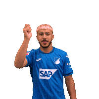 Sport Bundesliga Sticker by TSG Hoffenheim