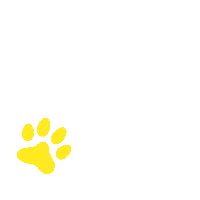 Paws Sticker by KUNKAY