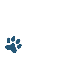 Paws Behavior Sticker by KUNKAY