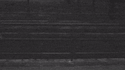 Hip Hop Rap GIF by Freezy Trap