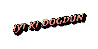 Dogumgunu Iyiki Dogdun Sticker