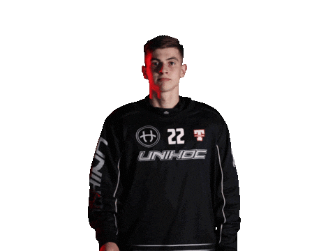 Floorball Salibandy Sticker by Tatran Stresovice