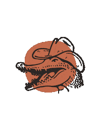 Cowboy Alligator Sticker