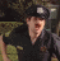 gifs for ants GIF