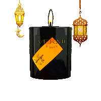 Sun Love Sticker by Vermi