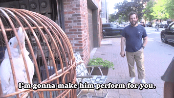 I'm Gonna Make him Perform