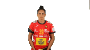 Handball Spain Sticker by EHF
